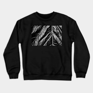 Delta Crewneck Sweatshirt